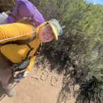 Julian to Warner Springs (Mile 77.3 to 109.5)