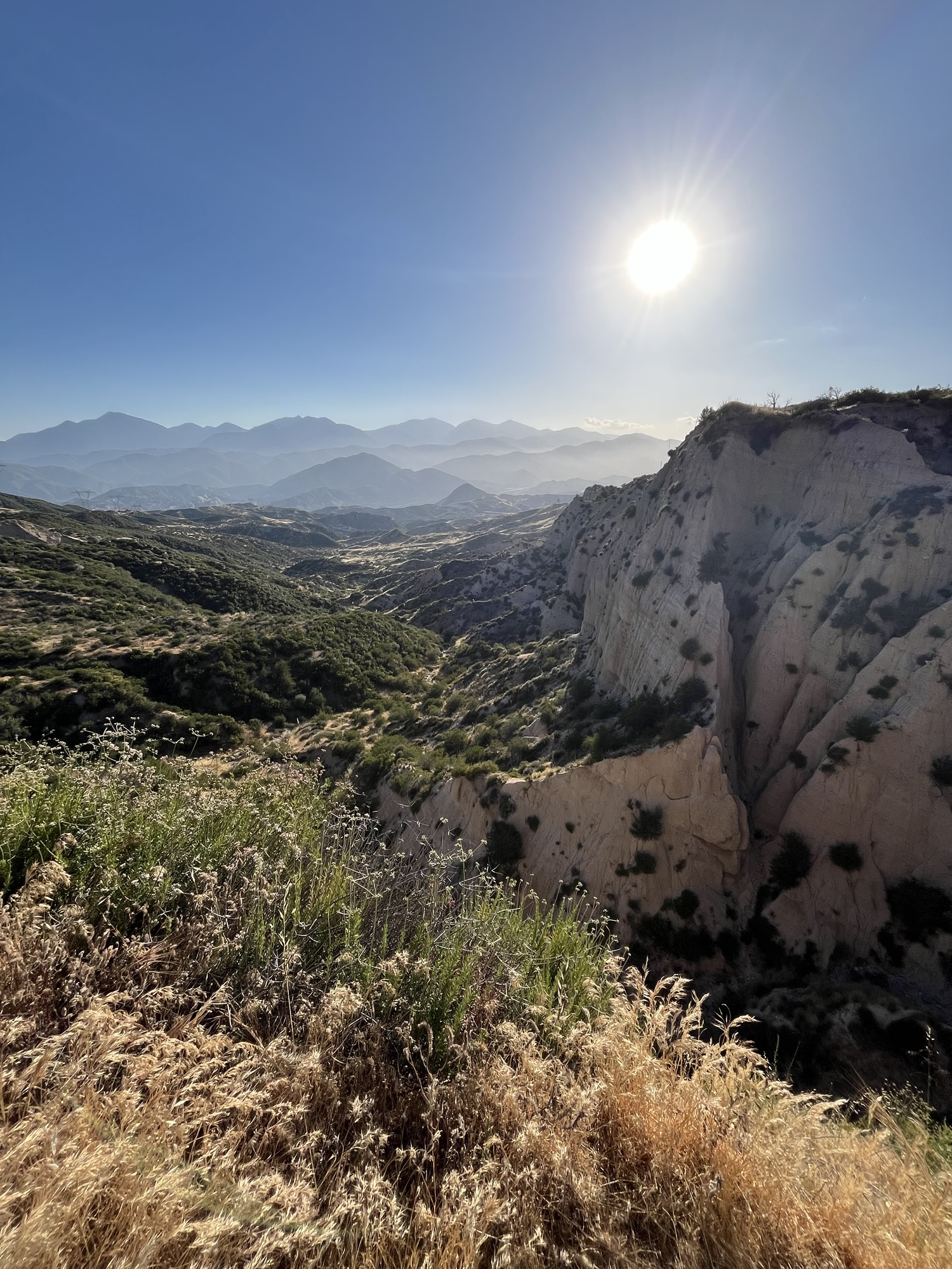 Read more about the article Deep Creek to Wrightwood (Mile 317.9 – 369.4)