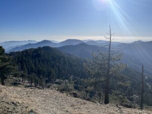 Read more about the article Wrightwood to Agua Dulce, Part 1 (Mile 369 – 427)
