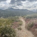 Wrightwood to Agua Dulce, Part 2 (Mile 427- 454.7)